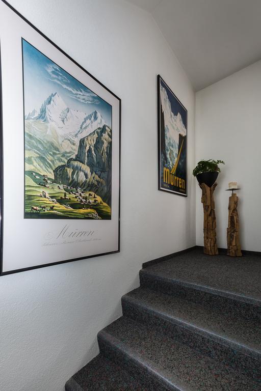 Hotel Edelweiss Superior 3*