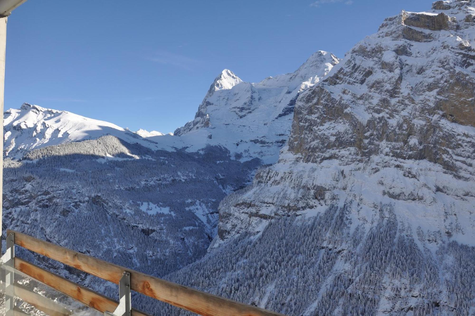 Hotel Edelweiss Superior 3*